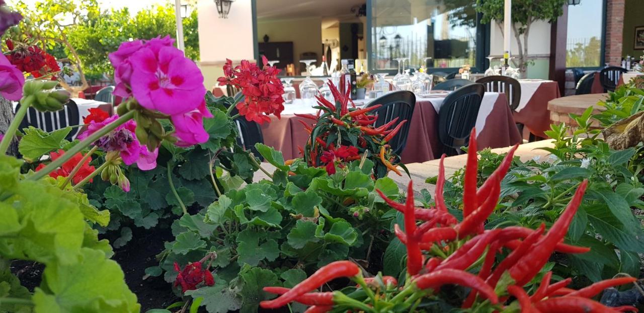 Villa Antonino Giardini-Naxos Kültér fotó